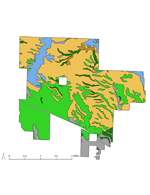 Soils