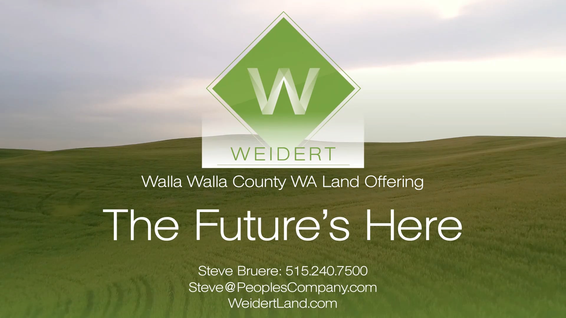 Weidert Future